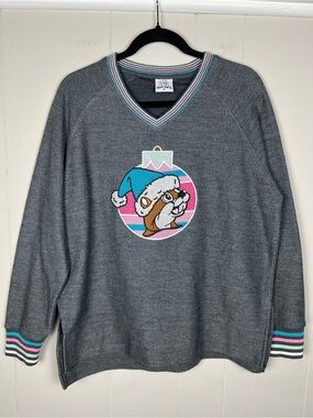 Buc-ee’s Gray Holiday Ornament V-Neck Sweater Oversized Size Small Pastels